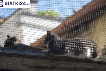 Siatki nylonowe - Siatka na balkony dla kota i zabezpieczenie dzieci siatki nylonowej